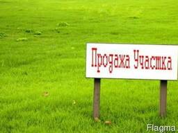 Продам участок в Путровке Васильковского района