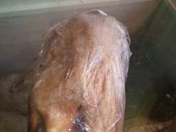 Продам утку тушка очищенная (охлажденная), эко-продукт.