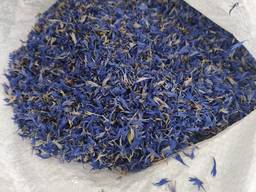 Продам Васильки ( Волошку)