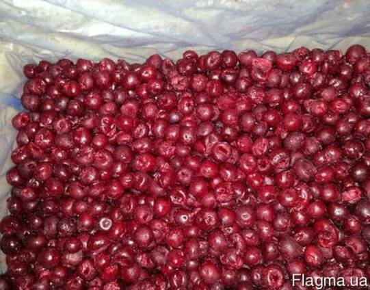 Продам вишню б/к