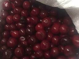 Продам вишню с косточкой замороженную