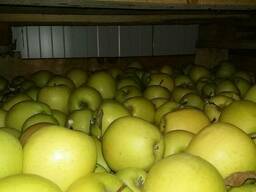 Продам яблуко 1 та 2 сортів
