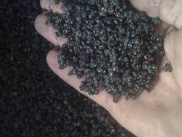 Продам ягоду бузини сушену