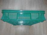 Продам ящик чешка ягодный 600*400*115, 600*400*95 - фото 2