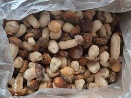 Продам заморожені білі гриби (Пікало) - маленький калібр, оптом 1 сорт
