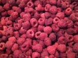 Продам замороженную малину с поля - фото 1