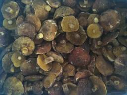 Продам замороженные грибы маслята целые