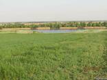 Продам земельный участок - фото 2
