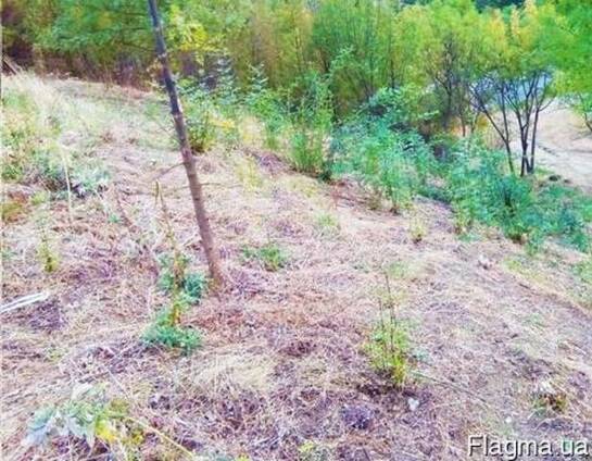 Продам земельный участок 8 сот Лазурное Алушта Крым