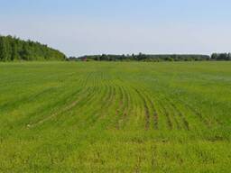 Продам землю