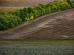 Продам землю 400Га. з Агропідприємством. Чернігівська обл.