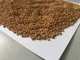 Продам желтое просо