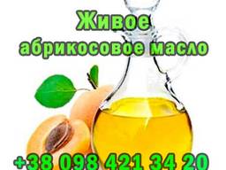 Виробництво живої абрикосової олії