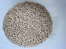 Продам жовтий горох 200 тон