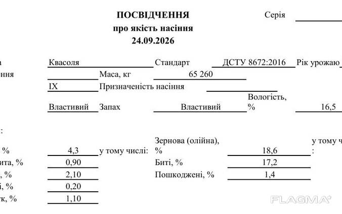 Продамо квасолю білу сорту Navy Beans врожаю 2026 року