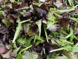 Продамо оптом латугіно червоне