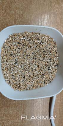 Продамо пшеницю подрібнену