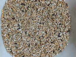 Продамо пшеницю подрібнену