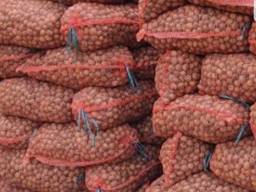 Продаём грецкий орех кругляк!