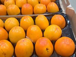 Продаём хурму напрямую от надёжного испанского производителя