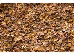 Продаём кедровую скорлупу