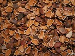 Продаём скорлупу кедрового ореха