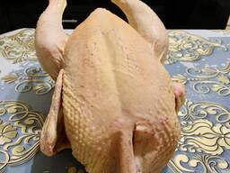 Продаю домашне мясо бройлера