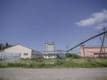 Продаж або оренда деревообробного заводу біля м. Ужгород - фото 4