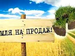 Продаж агропідприємств в Західній Україні