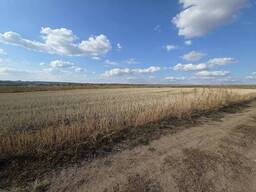 Продаж ділянки 22 сотих під житлову забудову у Байківцях