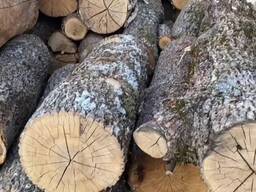 Продаж дров у Ківерцях та Волинській області - швидка доставка