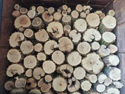 Продаж дров в Дніпрі