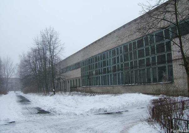 Продажа имущественного комплекса, Радомышль