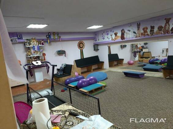 Нежилое помещение в Вознесеновском районе.