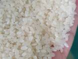 Продажа риса дробленного - фото 3