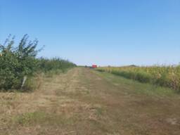 Продажа яблоневого сада и 100га пашни