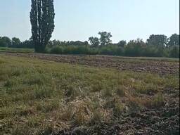 Продажа земельної ділянки с/п 969 соток