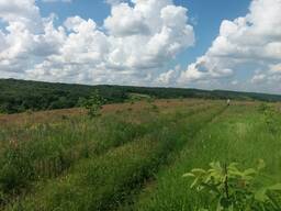 Продажа Земля Сельхоз Новомосковск