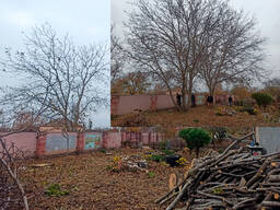 Професіональна обрізка та видалення дерев, покос трави, розчистка ділянок