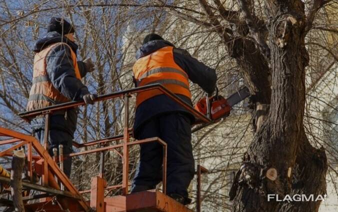 Профессиональный спил деревьев