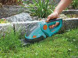 Профессиональный уход за декоративными растениями - фото 2