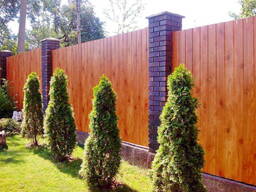 Профнастил для паркану