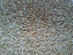 Крупу пшеничную, ячменную, перловую, гороховую, сахар