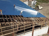 Промышленный ремонт кровли - фото 2