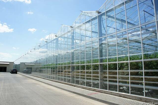 Промышленные Теплицы Venlo