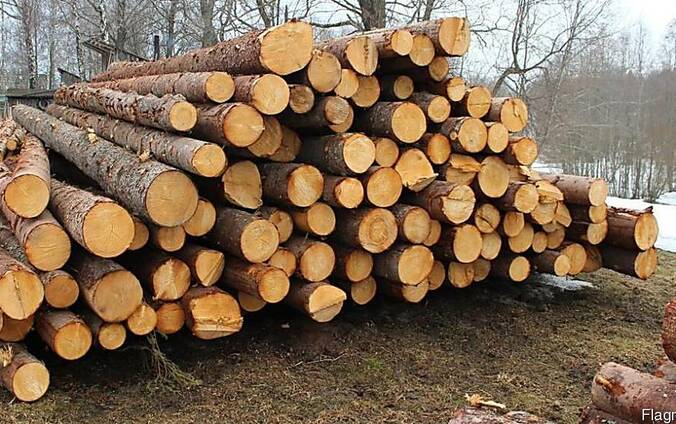 Пропонуємо лісоматеріали круглі (пиловнийк хвойний)