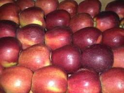 Яблоко зеленое и красное