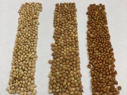 Просо белое, красное, желтое на экспорт