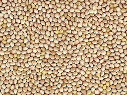 Просо Біле "Омріяне"