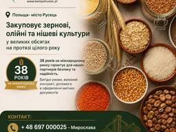 Коріандр КУПЛЮ